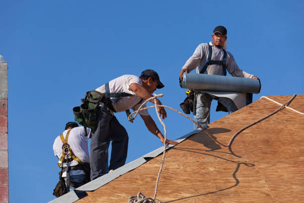 Quick and Trustworthy Emergency Roof Repair Services in Pinellas Park, FL