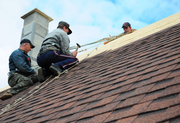 Gutter Installation and Roofing in Pinellas Park, FL